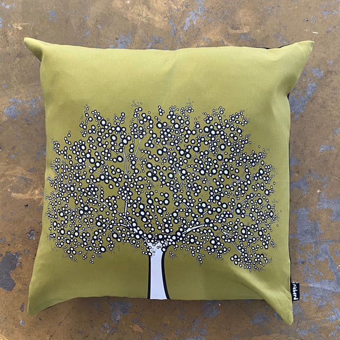 Olive Tree