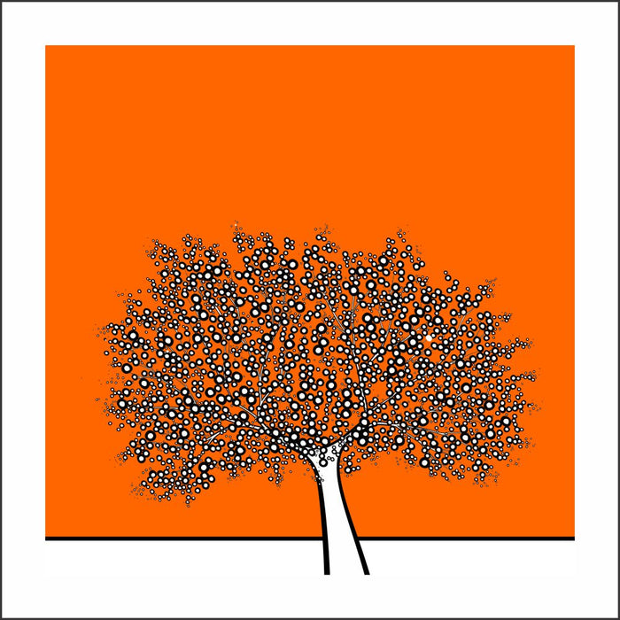 My Orange Tree