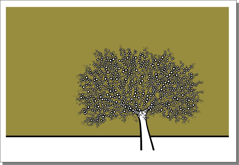 Olive Orchard