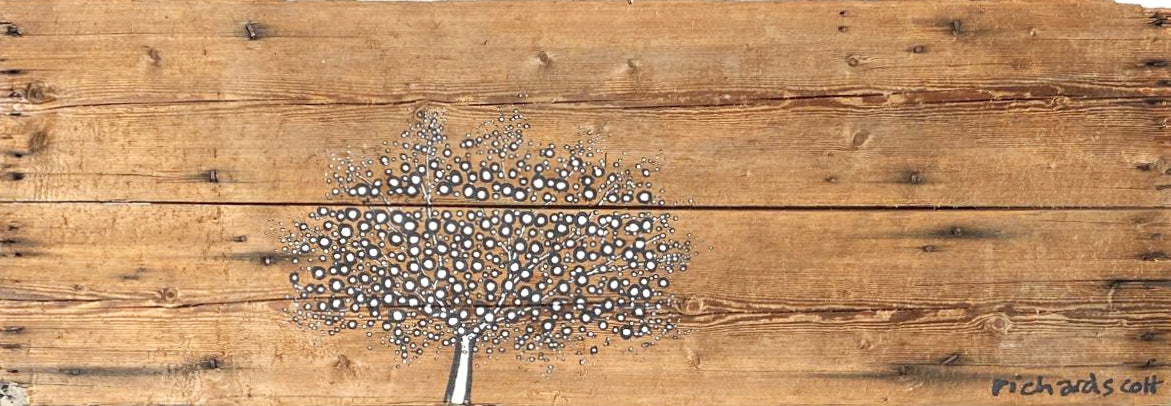 My Cape Diem Tree 2